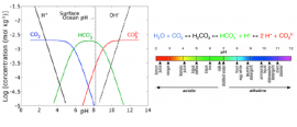 Dissolved CO2, H2CO3, HCO3-, CO32- and pH